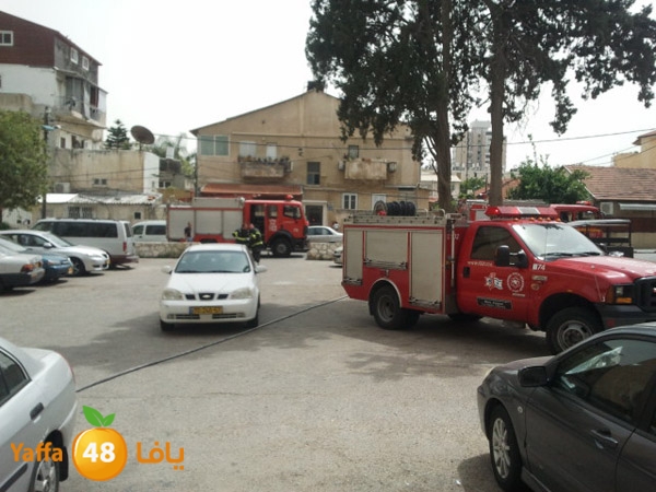 fireinyaffaw5 (11).jpg